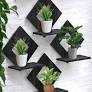 Wooden Wall Shelf 4 Tier Floating Display Rack For Plants Decor Books