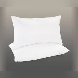 Sleep Well White Color 2 Pillow