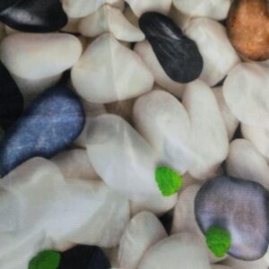 Digital Printed Cushion Cover Pack Of 5