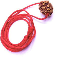 Jay Rudraksha Original Rudraksha Layered