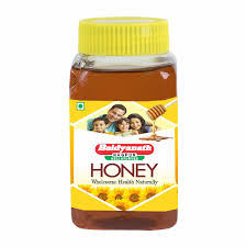 Baidyanath Honey 50 Gm