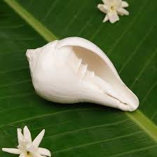 Serdharm Vishu Blowing Shankh