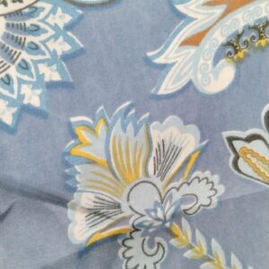 Sky Color Printed Pillow Cover 2 Pcs