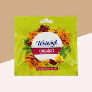 Fevicryl Mouldit 50G