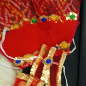 Devi Maa Navratri Dress Zardosi Hand Work Bandhej Poshak Chunri Red Color