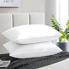 White Color Pillow Set Of 2 Size 16X16
