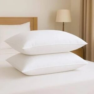 Emerald Comfort Pillow Pack Of 2
