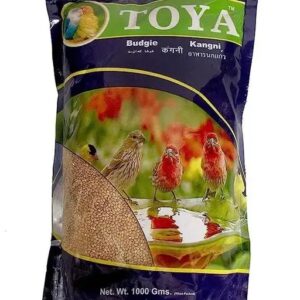 Toyota Budgie Kangni 1000G