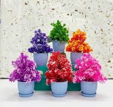 Colourful Flower For Home Decor Pack Of 6