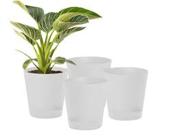 Set Of 4 White Indoor Plant Pots For Home Decor