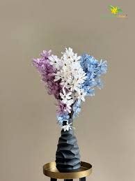 Blooming Flower Magnolia Kobus Bunch Off 3 White Blue Purple