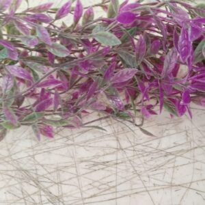 Artificial Purple Color Plastic Vine