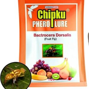 Chipku Pherolure Bactrocera Dorsalis 4Pcs