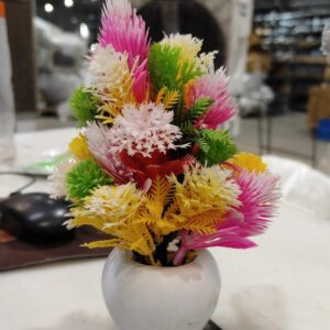 Wild Colour Flower For Home Decor