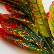 Artificial Croton Plant Ornamental Artificial Plant