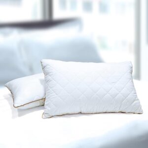 Spaces Quilted Pillow Set Of 2 Extra Soft Filled Down Alternative Pillow 17 X 27 Inch 43 X 69 Cm