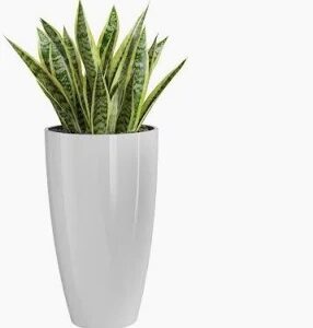 Plastic Pot White Color