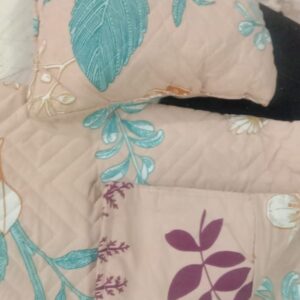 Cream Color Floral Printed Cushion With 2 Pillow Cover