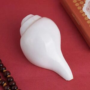 Satvik Vamavarti Shankh Conch Shell