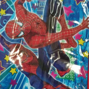 Kide Boy Lunch Box Bag Color Red