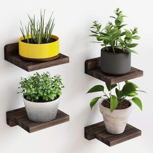 Wooden Small Floating Wall Shelves Set Of 4