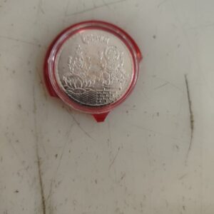 Silver Colour Laxmi Ganesh Pooja Coin