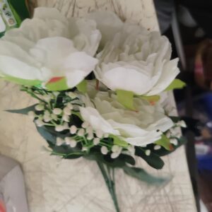 White And Green Colour Relife Flower Bunch