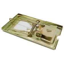 Iron Rat Trap Secunderabad