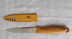 Sharad Online Stainless Steel Knife Colour Brown