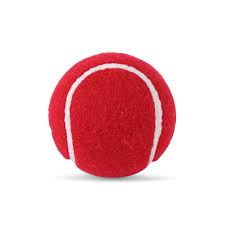 Red Tennis Cricket Ball 1 N