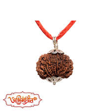 14 Mukhi Rudraksh