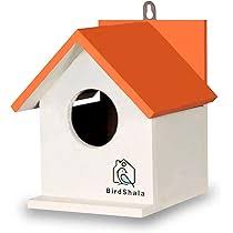 Birdshala Bird House For Sparrow