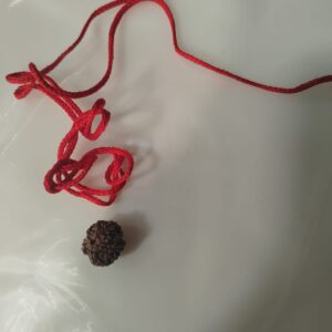5 Mukhi Rudraksha Pendant With Red Thread