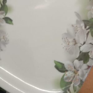 White Plastic Floral Printed Serving Plates 6Pc