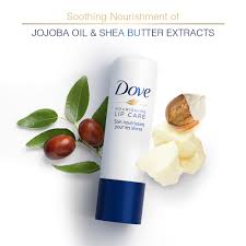 Dove Nourishing Essential Lip Balm With Jojoba Oil And Shea Butter Extract 4.8G