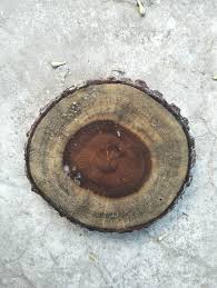 Round Tea Wooden Coasters