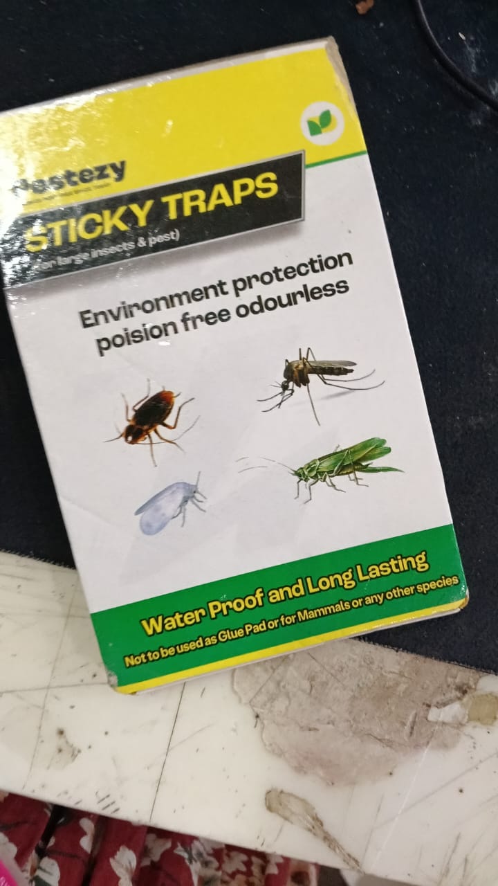 Sticky Insect Trap Non Toxic Odorless 6.5 X 8 Inch Effective Against Flies Gnats And Mosquitoes Perfect For Kitchen