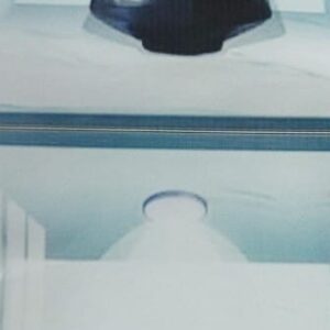 Multi Color Printed Wall Sticker 30 X 42 Cm