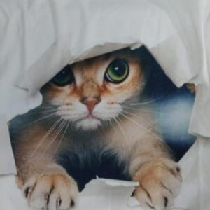 Shien Men Tshirt Color White Printed Size S