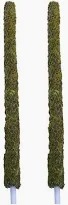 Plant Support Moss Stick Grass Pole For Plants Pack Of 2