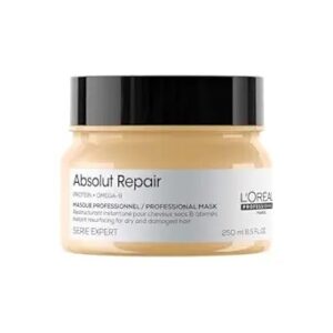 Loreal Professionnel Absolut Repair Mask For Dry Damaged Hair 250Ml