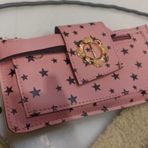 Women Hand Bag Pink Colour