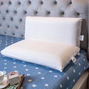 Organic Sleep Pillow Natural Latex Size 27X15X5 Inch Pack Of 2 Cotton Cover Cream Color