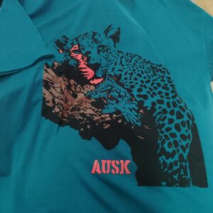 Ausk Teal Color T Shirt For Men Size M