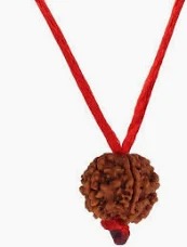 5 Mukhi Rudraksha Beads With Red Thread Pack Of 2
