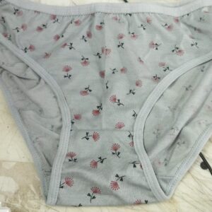 Grey Color Printed Women Panty Size L