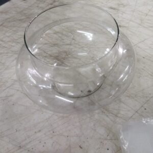 Transparent Flower Glass Pot