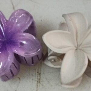 2 Pcs Multi Color Women Hair Clip