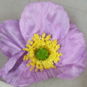 Multi Color Artificial Hawaii Flower Hair Clip