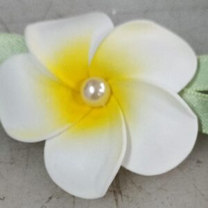 Multi Color Hair Clip For Girls